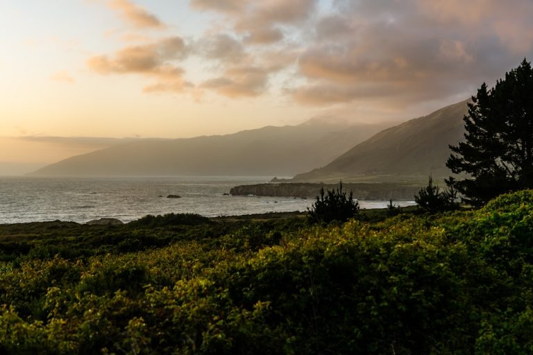 Unlocking Success in the Hospitality Industry: The Role of Management & Consulting